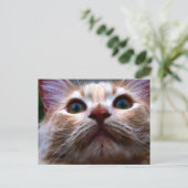 住所カードの変更 案内ポストカード (スタンド正面)