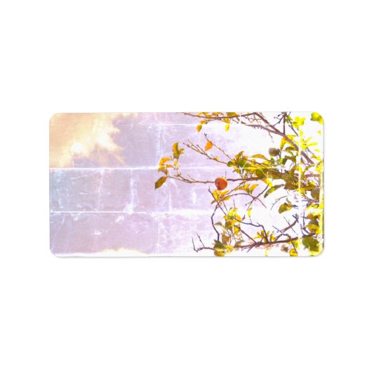 住所ラベルのクールエコスタイルデザイン ラベル (正面)