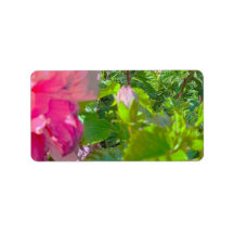 住所ラベルのクールエコスタイルデザイン