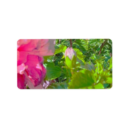 住所ラベルのクールエコスタイルデザイン ラベル (正面)