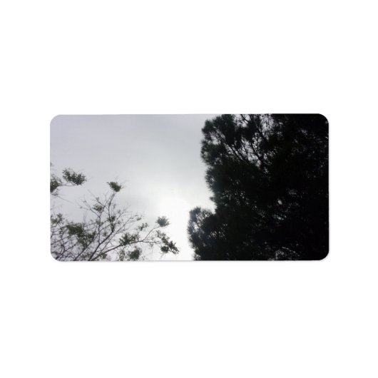 住所ラベルのクールエコスタイル ラベル (正面)