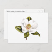 住所変更はがき – 25枚 ポストカード (正面/裏面)