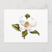 住所変更はがき – 25枚 ポストカード (正面)