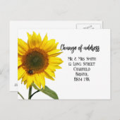 住所変更 おしゃれなひまわり ポストカード (正面/裏面)