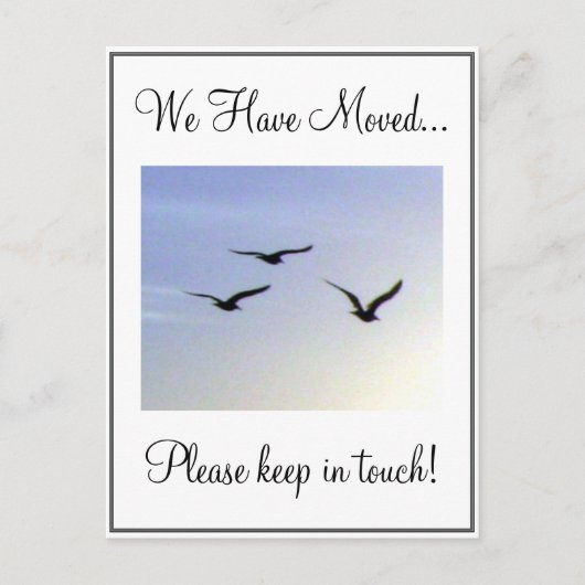 住所飛んでいるはがきの変更 案内ポストカード (正面)