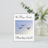 住所飛んでいるはがきの変更 案内ポストカード (スタンド正面)