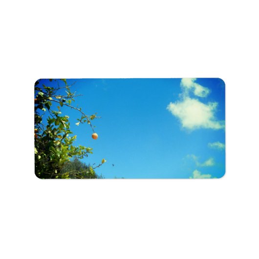 住所 シールアートとデザイン ラベル (正面)