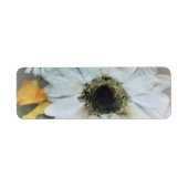 住所 シールアートとデザイン ラベル (正面)