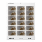 住所 シールアートとデザイン ラベル (フルシート)