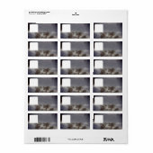 住所 シールアート&デザインスタイル ラベル (フルシート)