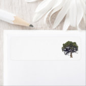 住所 シールアート&デザインスタイル ラベル (インサイチュ)