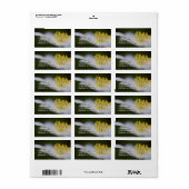 住所 シールウッドアネモン ラベル (フルシート)