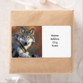 住所 シール (インサイチュ)