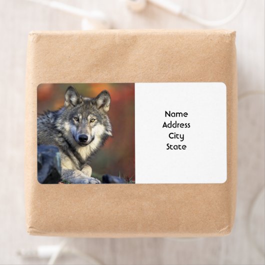 住所 シール (インサイチュ)