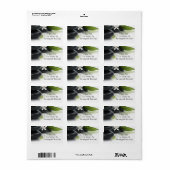 住所 シール (フルシート)