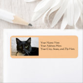 住所 シール：猫リリー ラベル (インサイチュ)