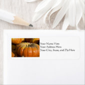 住所 シール: 素晴らし Pumpkin ラベル (インサイチュ)