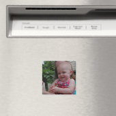 佐美 マグネット (インサイチュ (食洗機))