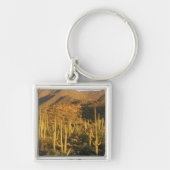 佐賀呂国立公園近くのサグアロカクタス キーホルダー (正面)