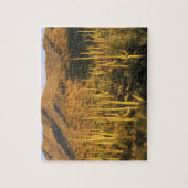 佐賀呂国立公園近くのサグアロカクタス ジグソーパズル (縦)