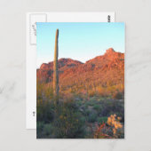 佐賀良国立公園 ポストカード (正面/裏面)