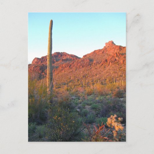 佐賀良国立公園 ポストカード (正面)