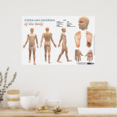 体のポイントと経絡 ポスター (キッチン)