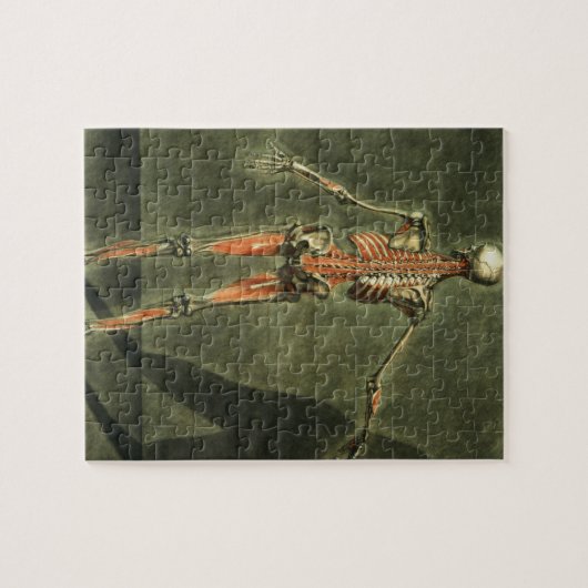 体の背部の深い筋肉システムは、地図をつくります ジグソーパズル (横)