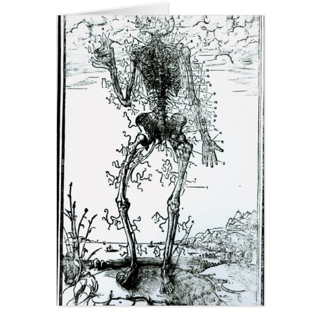 体の脈管系 (正面)