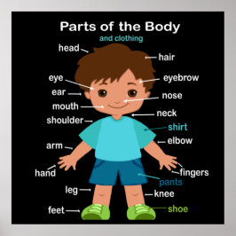 体ポスター ポスター