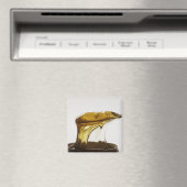 体ワックス マグネット (インサイチュ (食洗機))