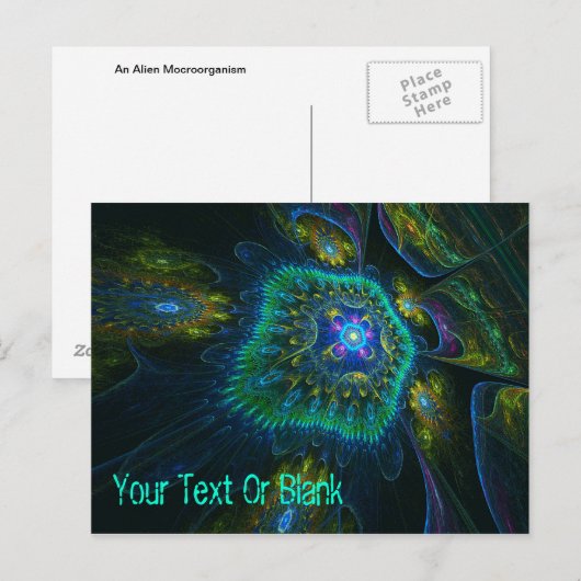 体外学 ポストカード (正面/裏面)