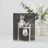 体操子猫 ポストカード (スタンド正面)