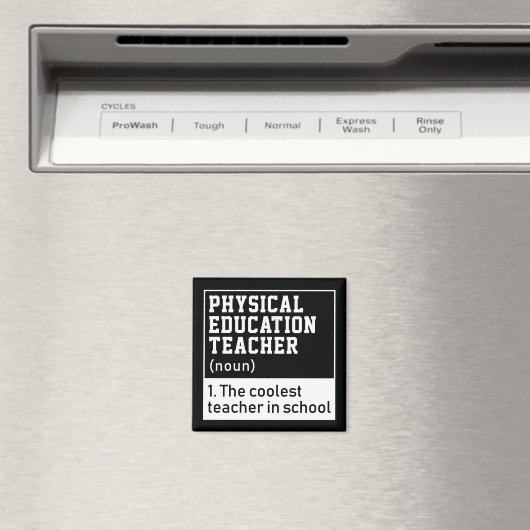 体育先生定義P.E. マグネット (インサイチュ (食洗機))