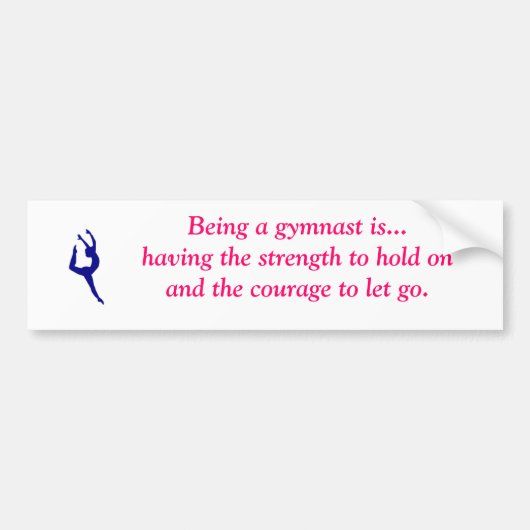 体育専門家…バンパーステッカーですであることは バンパーステッカー (正面)