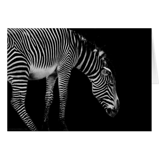 体言語カード (正面横)