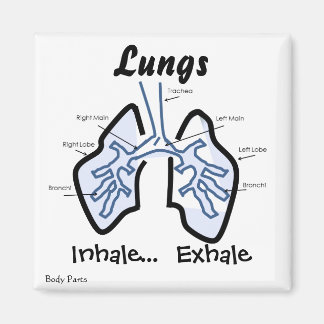 体部品 – ヒトの肺 マグネット