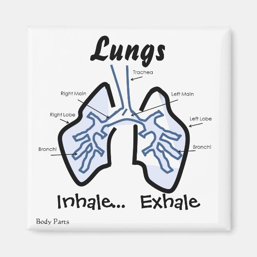 体部品 – ヒトの肺 マグネット (正面)