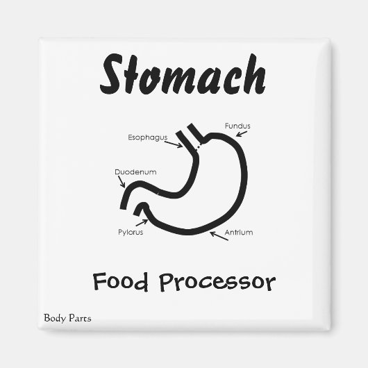 体部品 – 人間の胃 マグネット (正面)