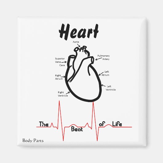 体部品 – 人間ハート マグネット (正面)