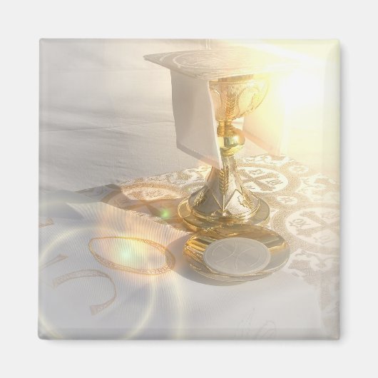 体 マグネット (正面)