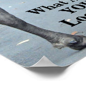 何おもしろいを見てるの?ブルバイソン ポスター (角)