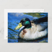 何かあった？ ポストカード (正面/裏面)