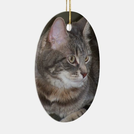 何かを注目しているヒイラギオーナメント セラミックオーナメント (右)