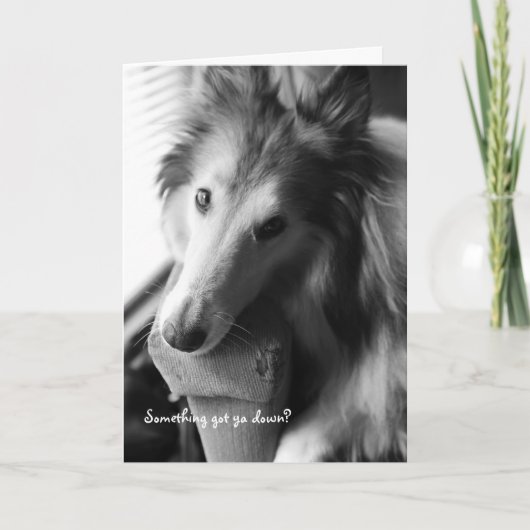 何か得落ち込んだ? カード (正面)