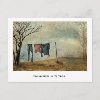 何か自分保に好きなことがある ポストカード