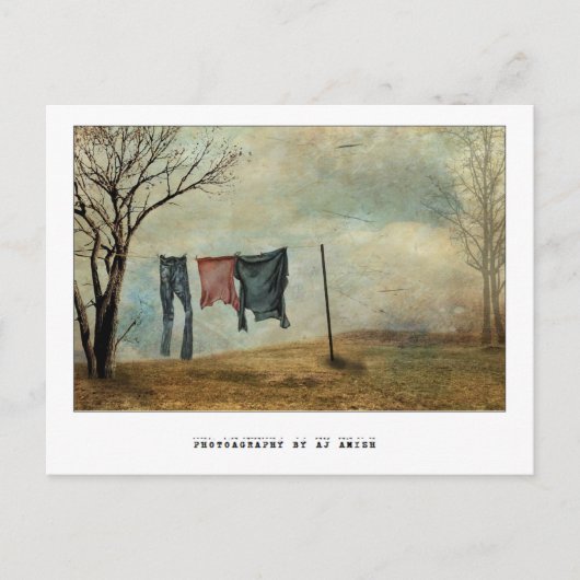 何か自分保に好きなことがある ポストカード (正面)