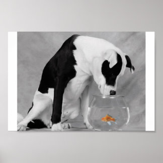 何か食べか？ ポスター