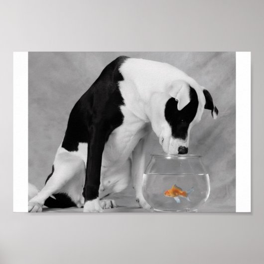 何か食べか? ポスター (正面)