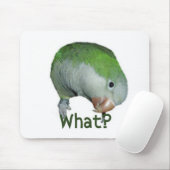 何か。 マウスパッド (マウス)